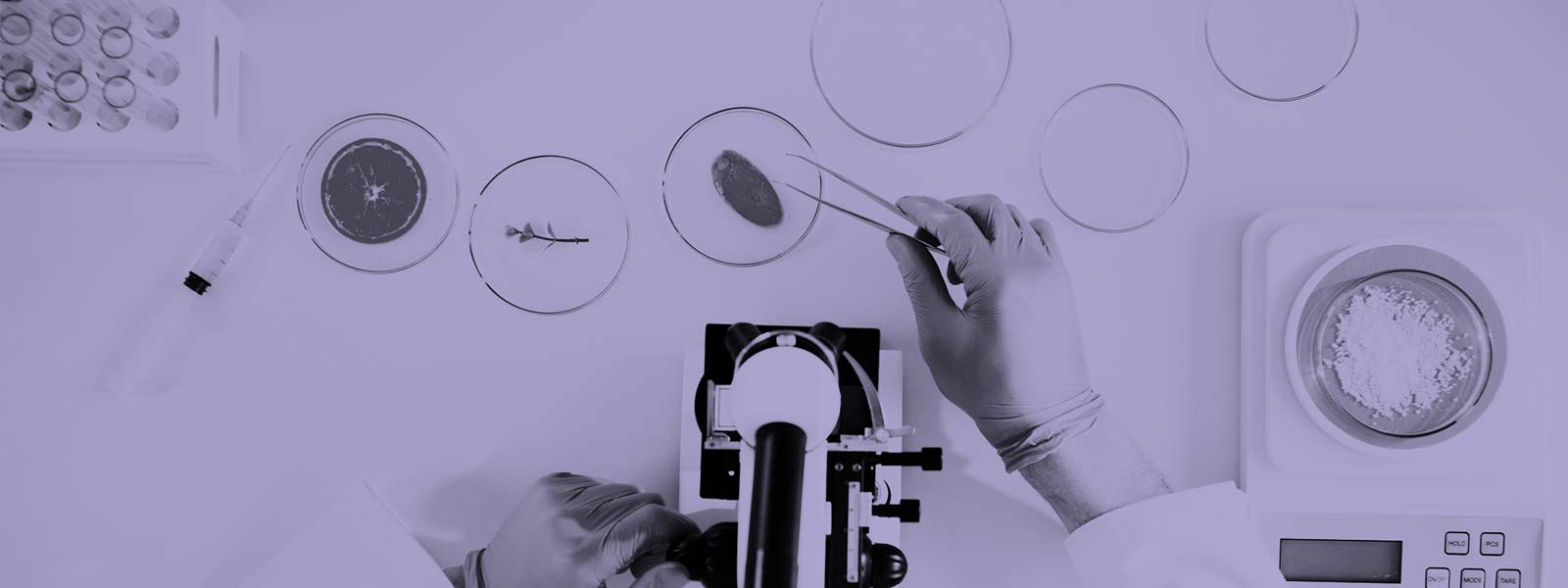 Someone doing lab work