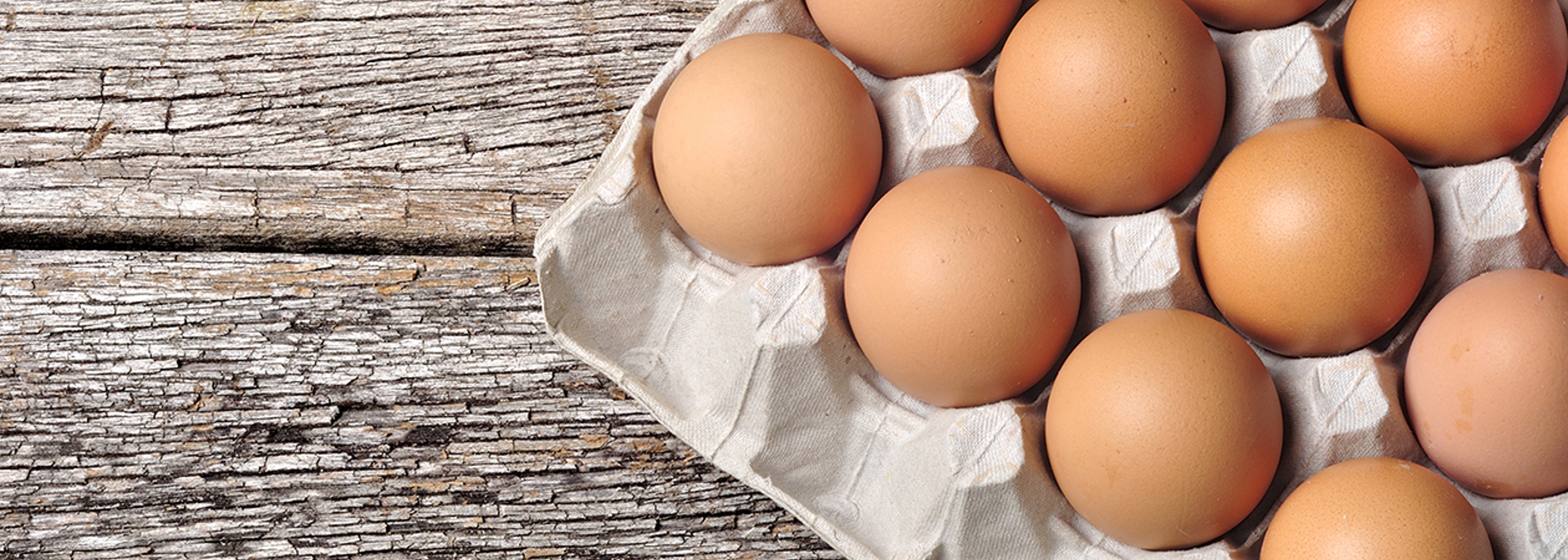 Protect our food, says UK’s biggest union
