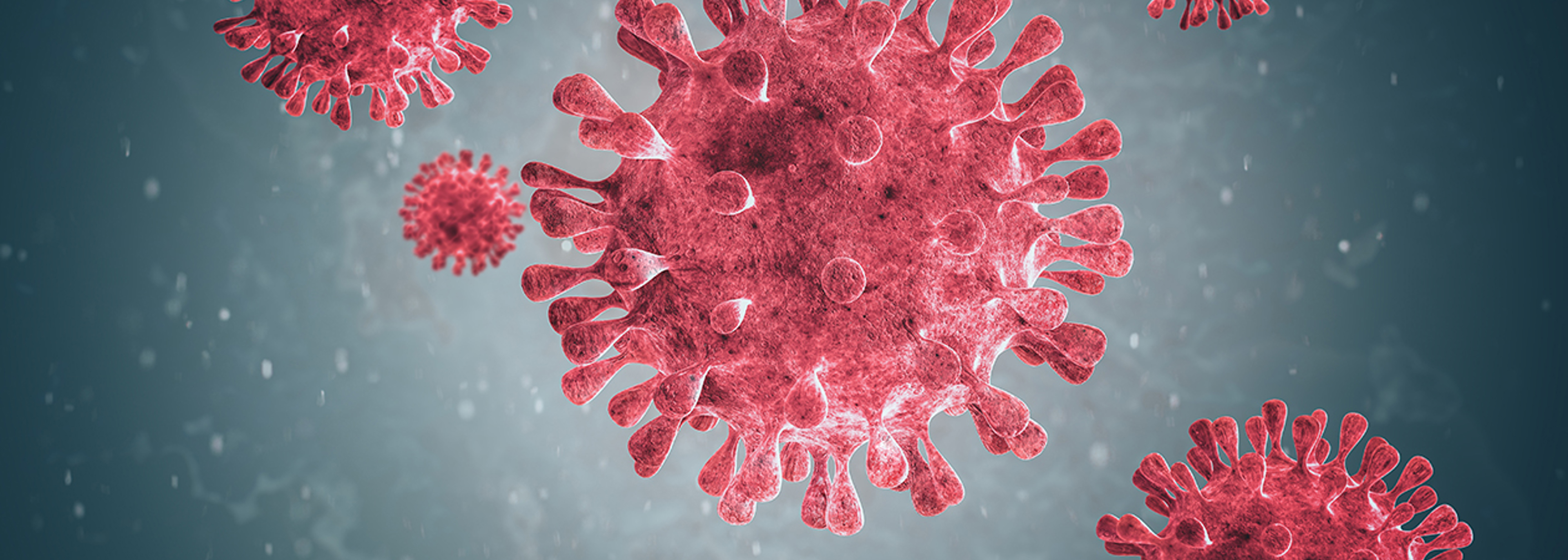How is EH working during the outbreak?