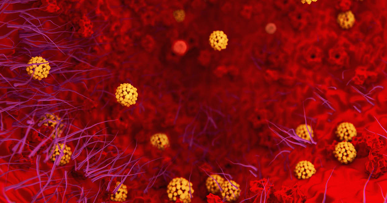 A man handling food behind a sandwich counter with plastic gloves