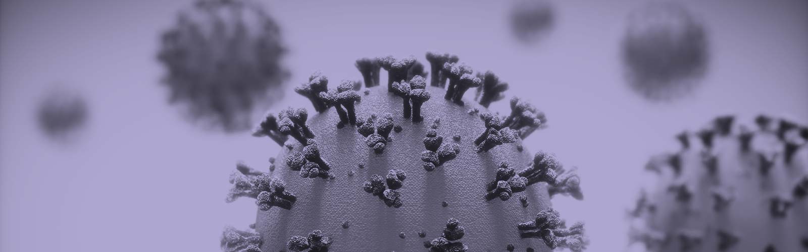 A microscopic close up of Coronavirus bacteria