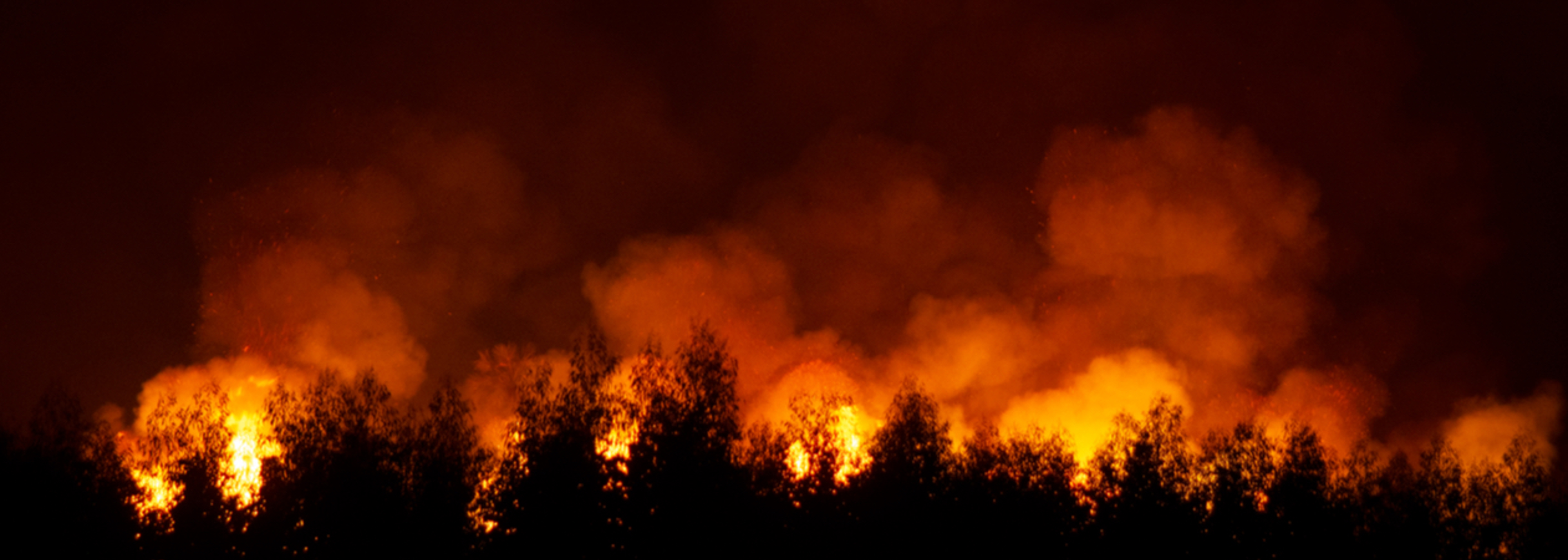 EHPs report deep personal concern about climate change