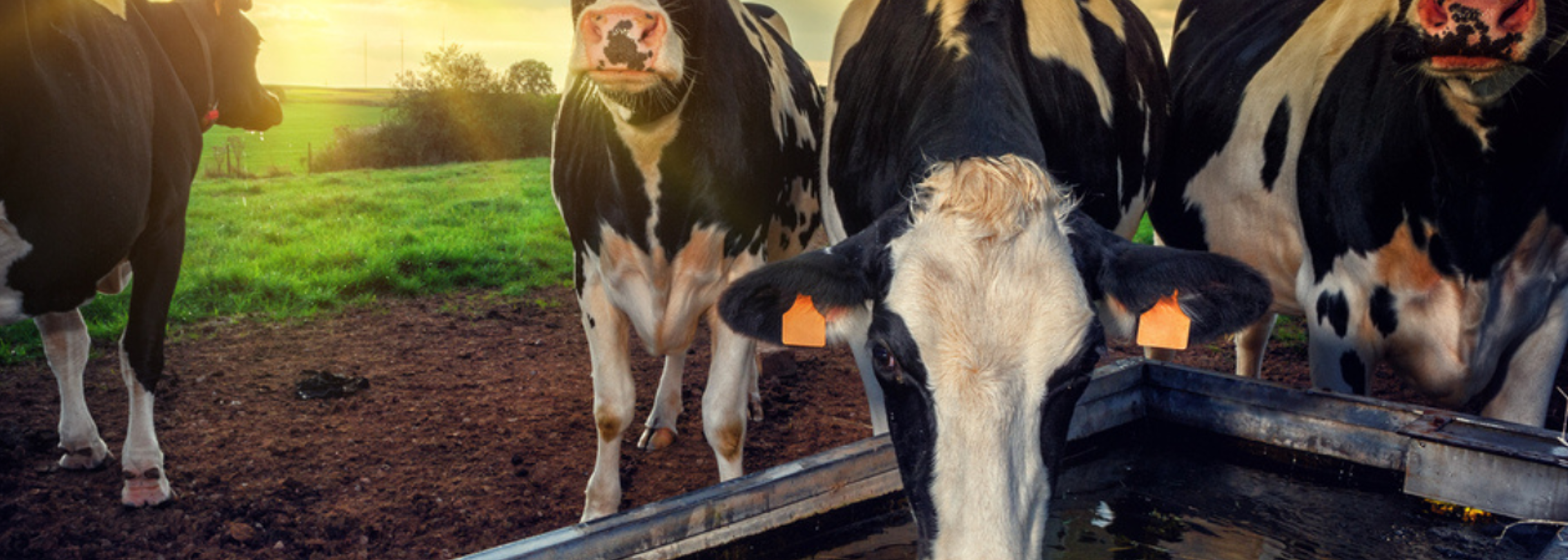 Delayed post-Brexit farm funding scheme causes concern