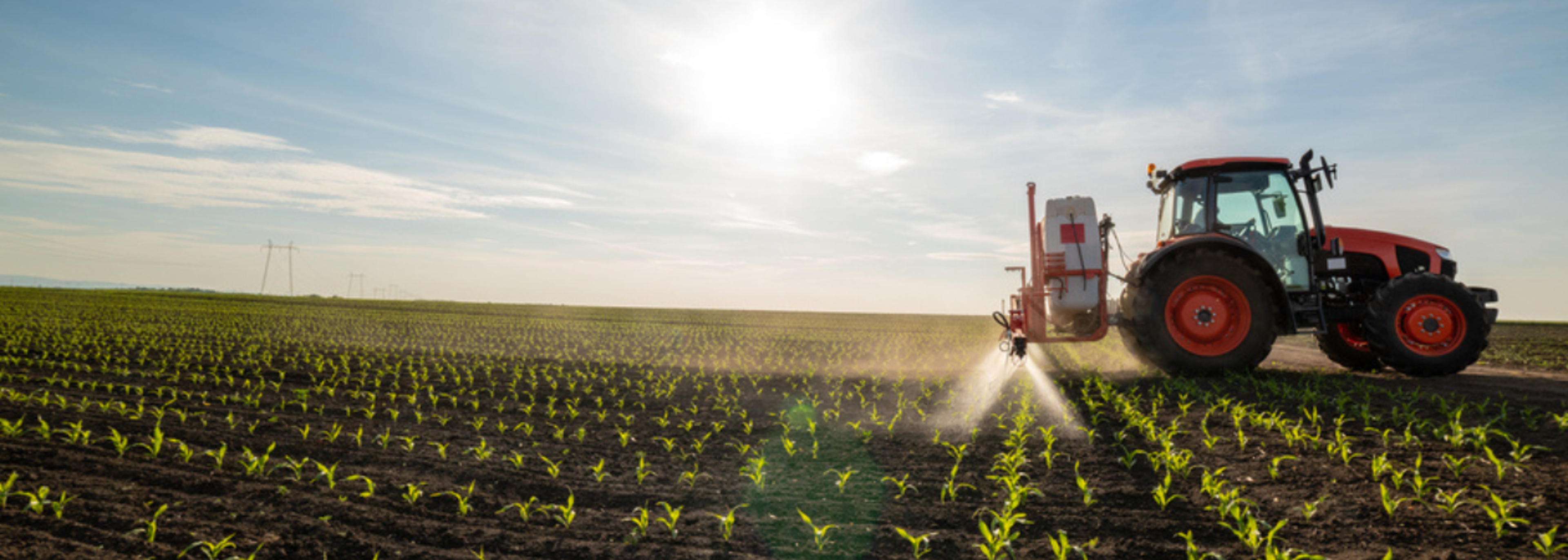 PAN UK data shows toxic PFAS in UK fruit, vegetables and spices