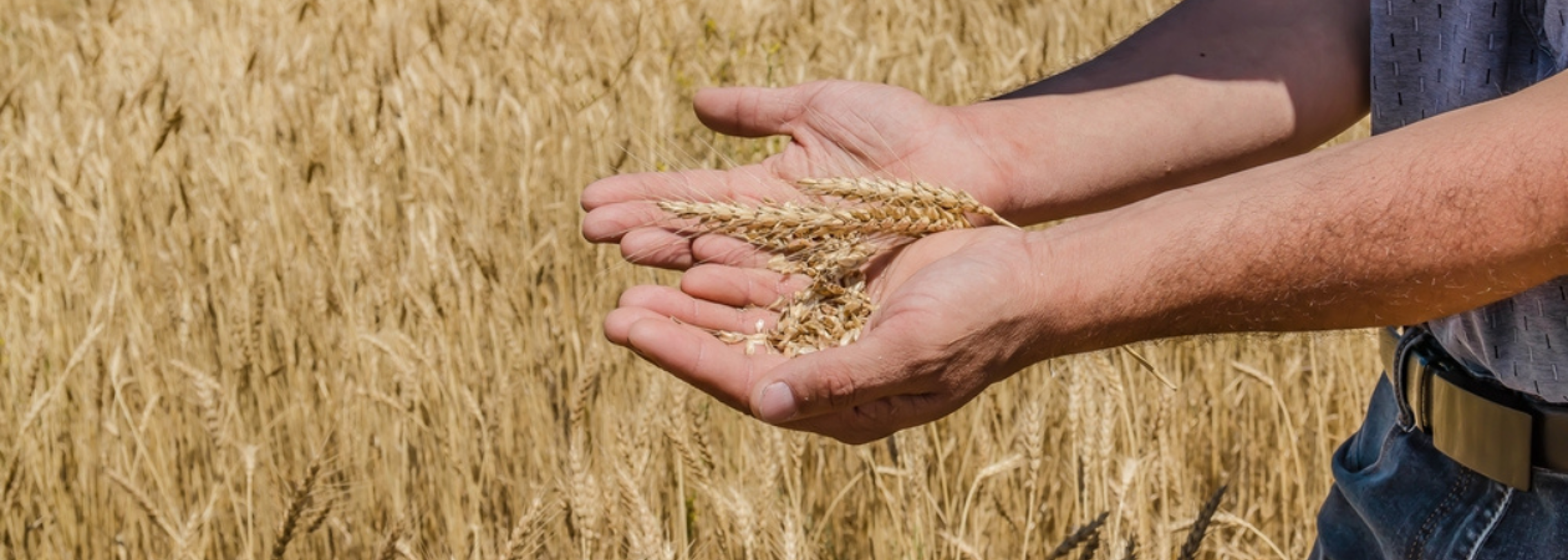 "Realities of climate change" are hitting UK’s harvest