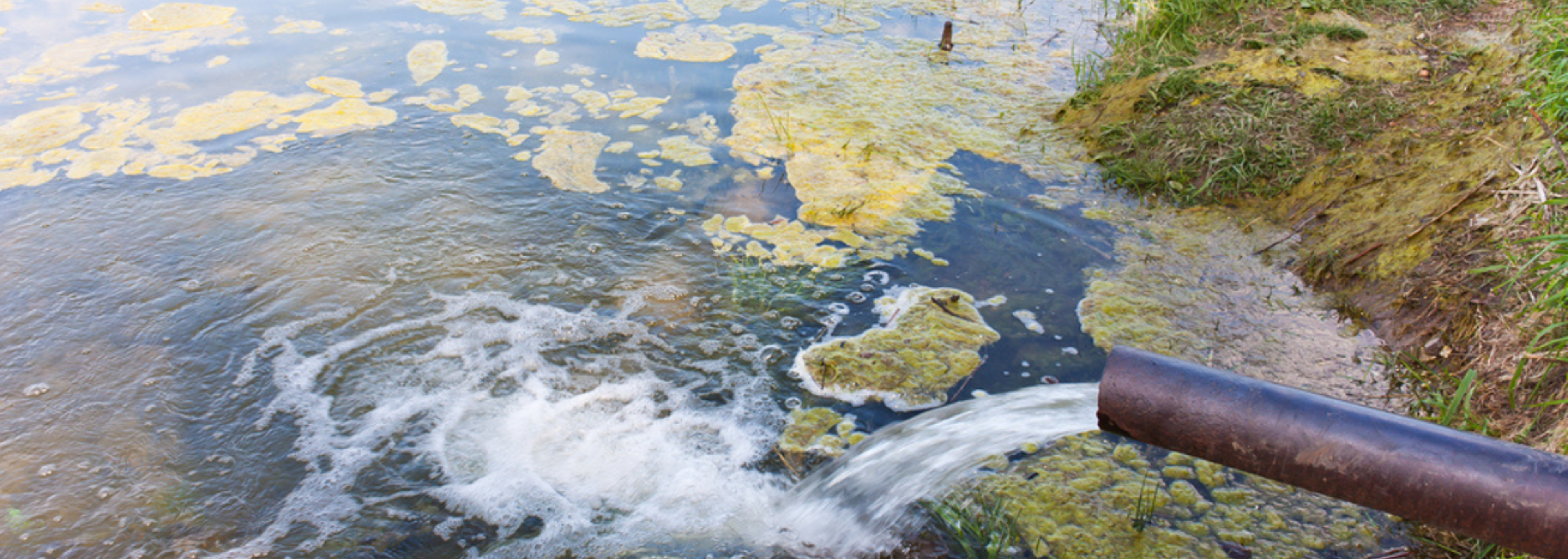 2023 saw record sewage spills into England’s rivers and seas
