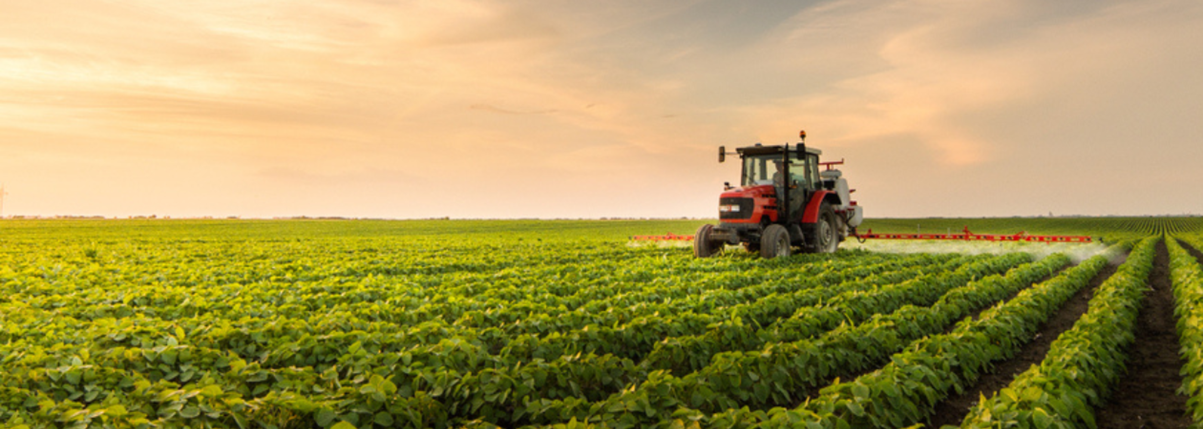 Defra caps land farmers can put into Sustainable Farming Incentive