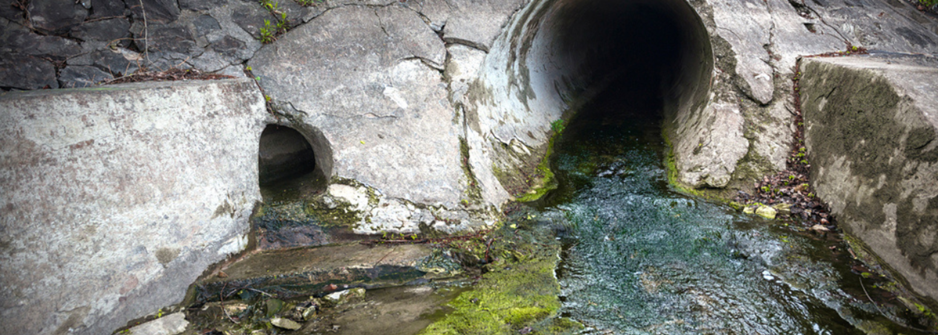 Water companies must monitor, and act on, raw sewage discharge