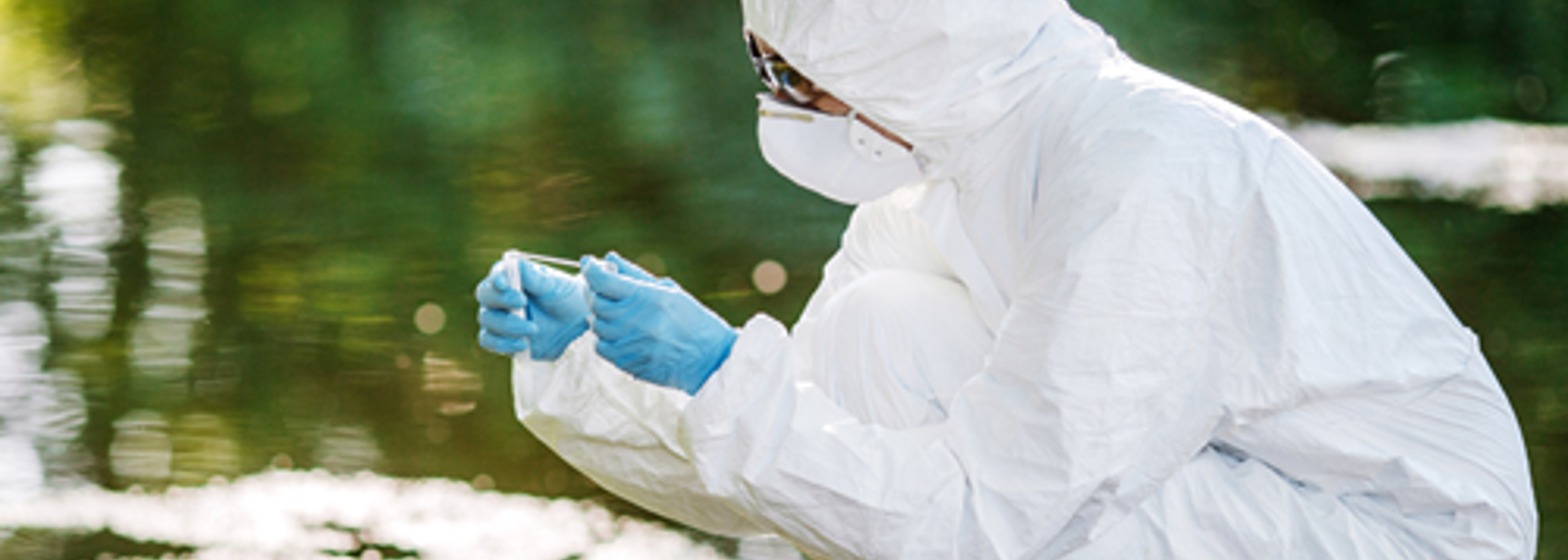 Vet medicine leaching toxic chemicals into rivers