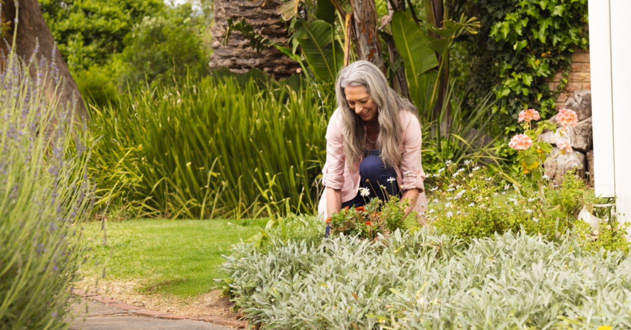 Person tending to their garden