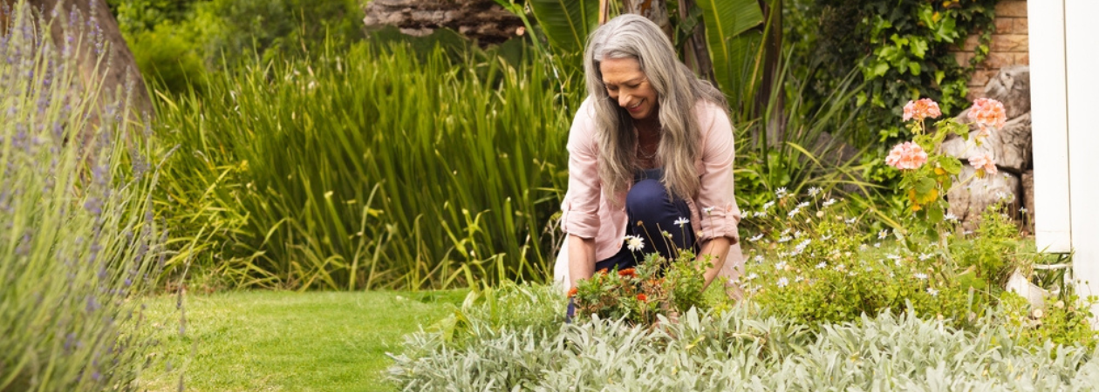 RHS calls for government to guarantee gardens in new homes