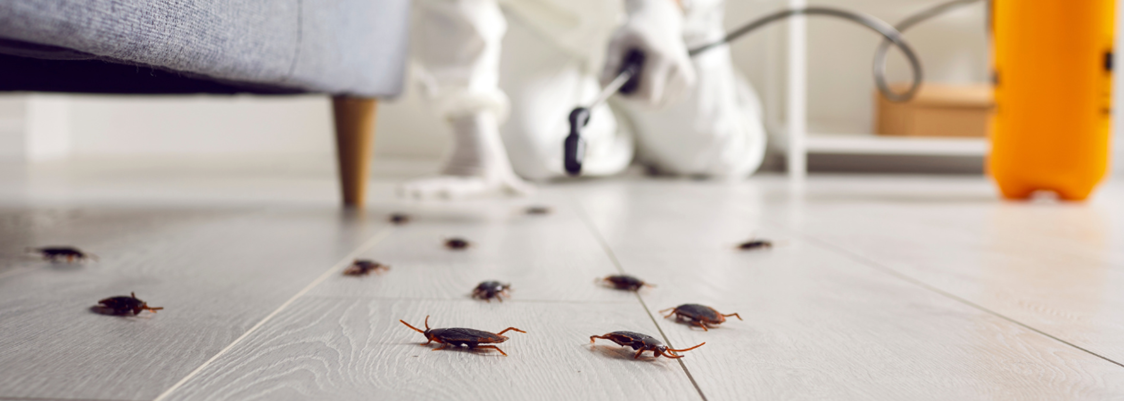 Work of pest professionals is key to preventing zoonotic disease