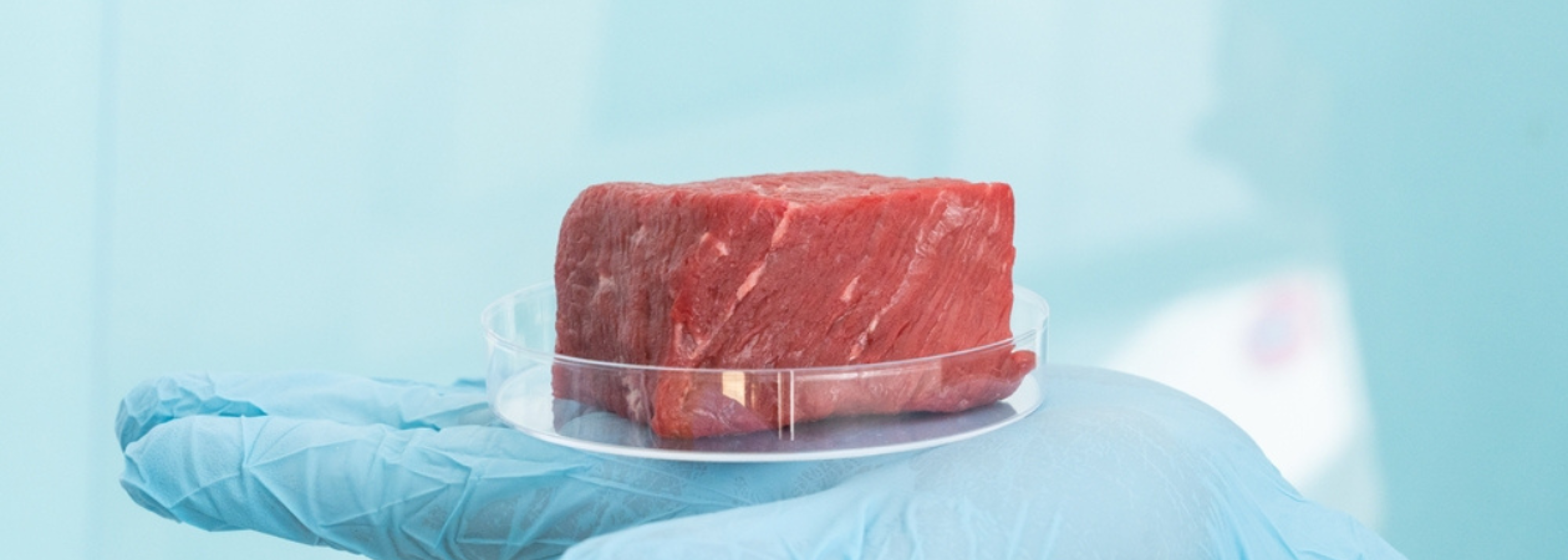 “World first” guidance issued on cell-cultivated meat